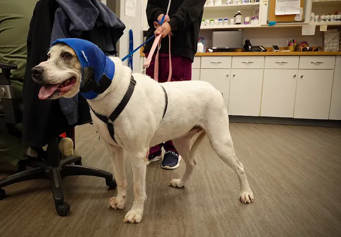 Knightdale Animal Hospital 4