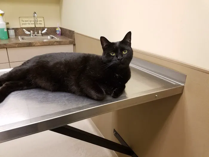 Smithfield Road Veterinary Hospital 2