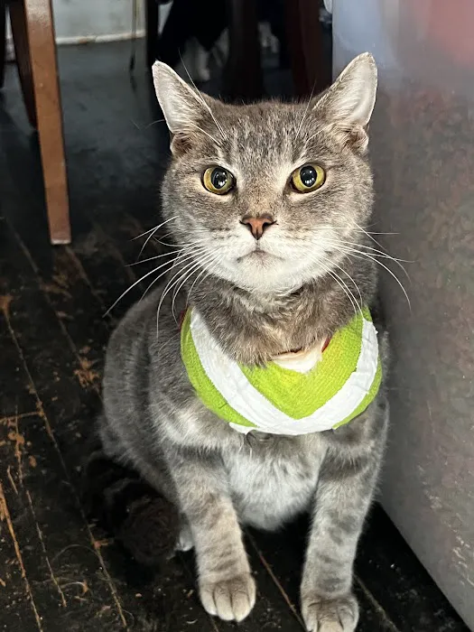 Smithfield Road Veterinary Hospital 1