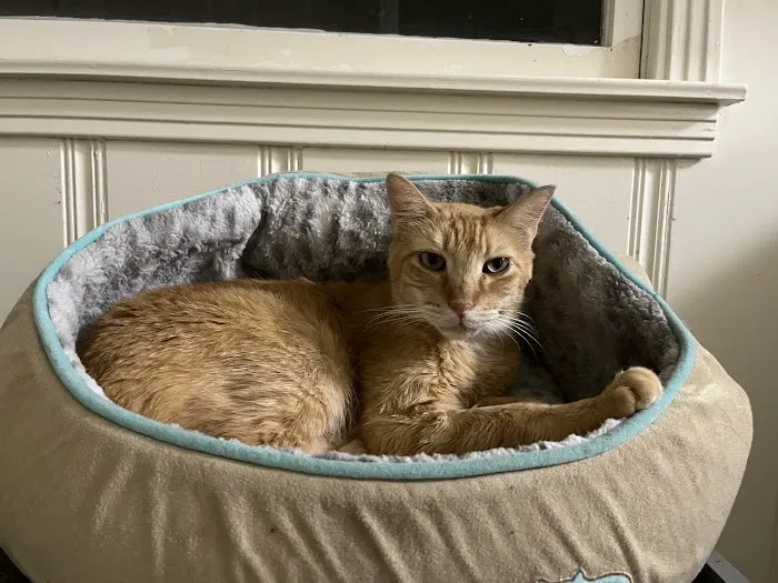 Wake Veterinary Medical Center 1