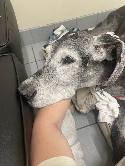 Wake Veterinary Medical Center 7
