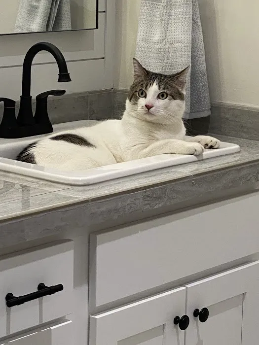 Wake Veterinary Medical Center 6