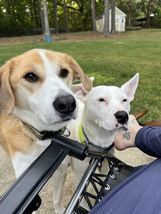 Wake Veterinary Medical Center 8