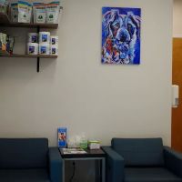 Oak Heart Veterinary Hospital at Dixie Trail ico