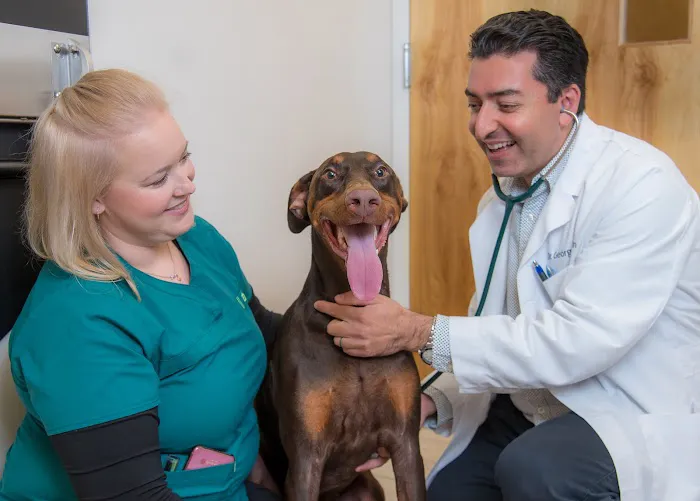 Oak Heart Veterinary Hospital at Dixie Trail 12