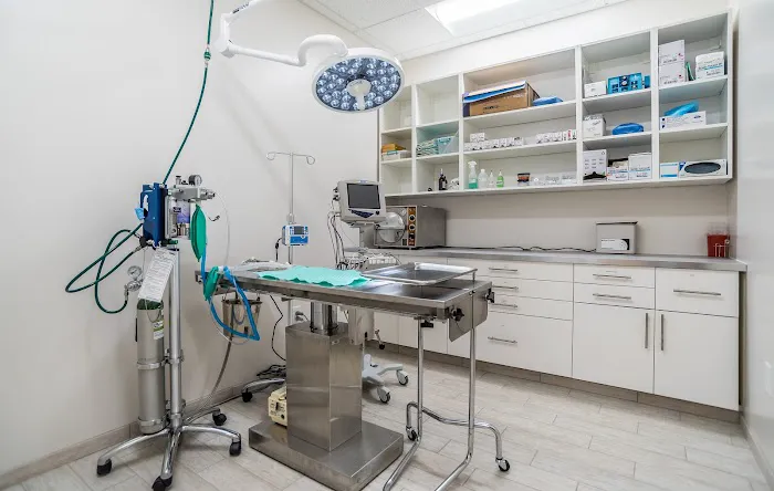 Oak Heart Veterinary Hospital at Dixie Trail 12