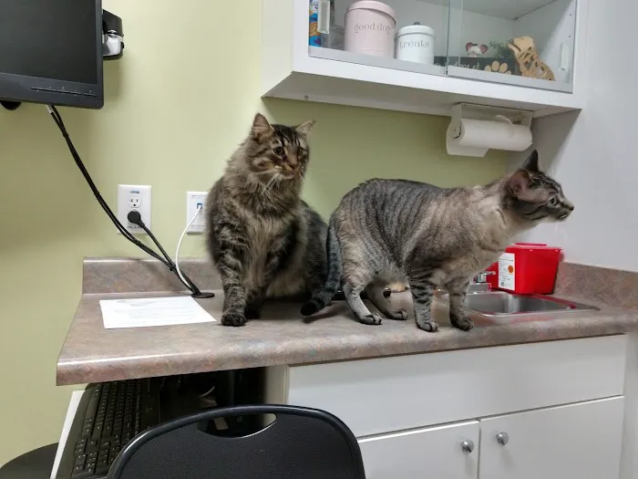 VCA Triangle Tower Animal Hospital 4