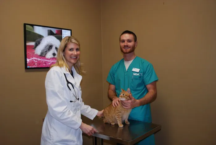 VCA Triangle Tower Animal Hospital 7