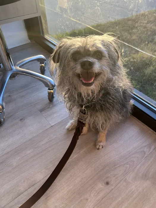Petfolk Veterinary & Urgent Care - North Hills 12
