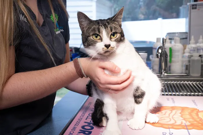 Raleigh Community Animal Hospital 12