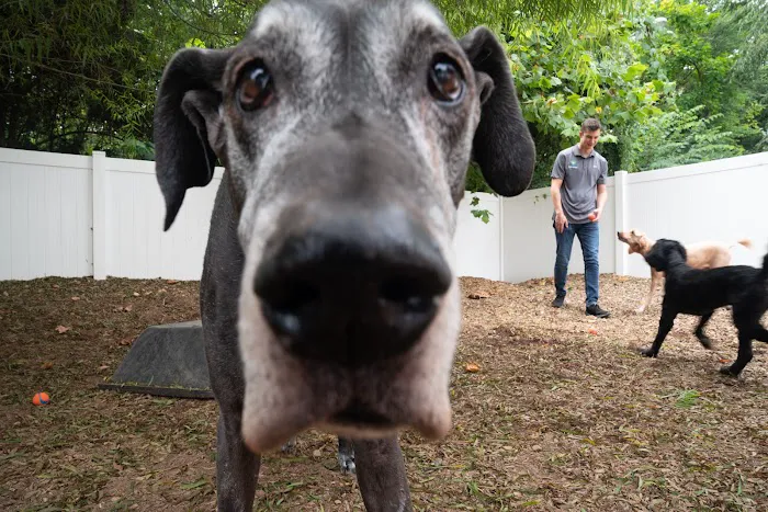 Raleigh Community Animal Hospital 12