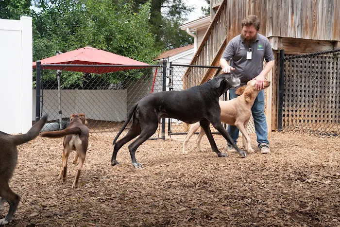 Raleigh Community Animal Hospital 12
