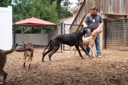Raleigh Community Animal Hospital