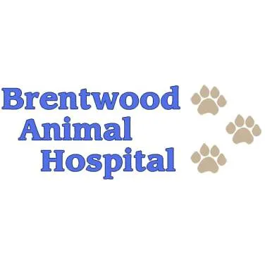 Brentwood Animal Hospital 4