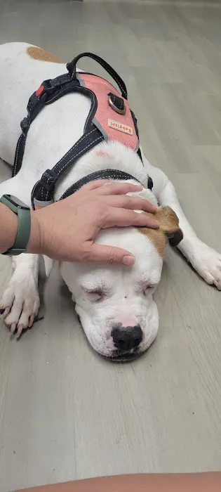 Magnolia Animal Hospital 7