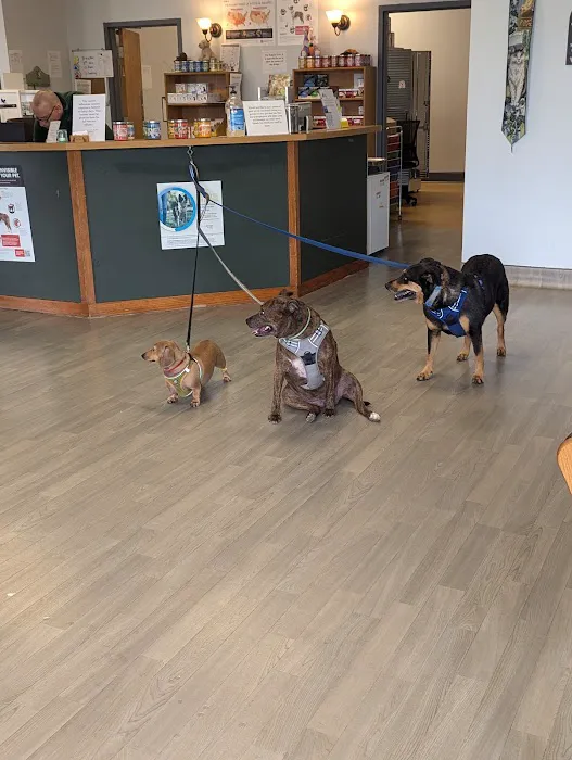 Magnolia Animal Hospital 4