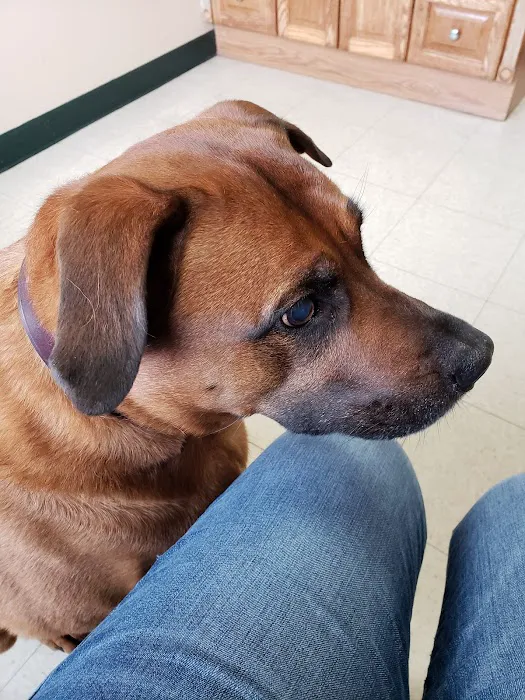 Magnolia Animal Hospital 8