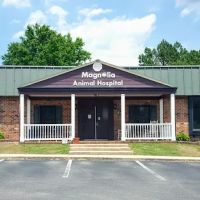 Magnolia Animal Hospital: Danford Teresa DVM ico