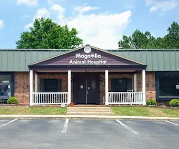 Magnolia Animal Hospital: Danford Teresa DVM