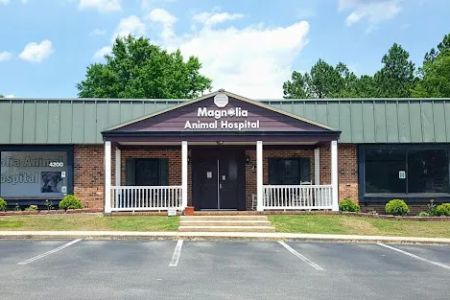 Magnolia Animal Hospital: Danford Teresa DVM
