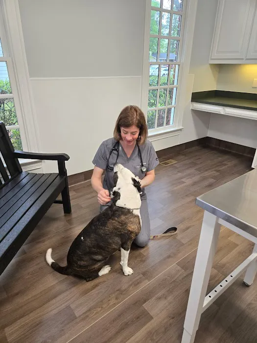 Southern Heart Veterinary Hospital 10