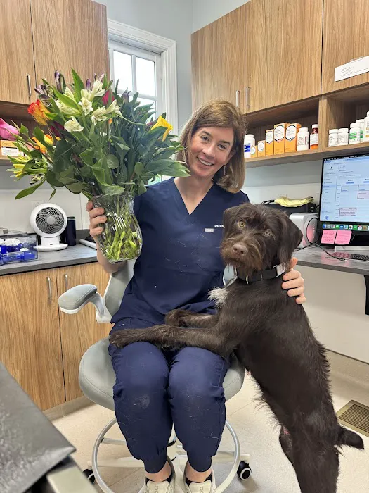 Southern Heart Veterinary Hospital 3