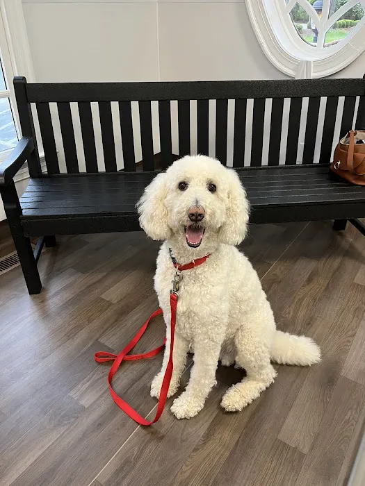 Southern Heart Veterinary Hospital 4