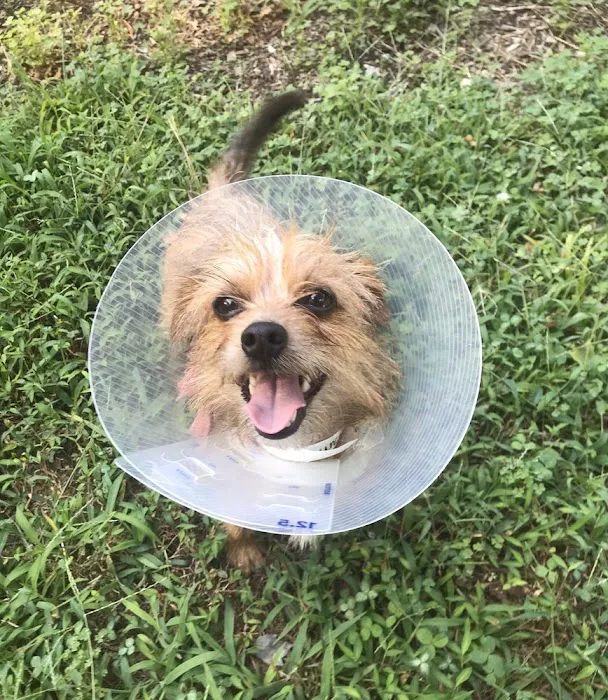 Five County Spay and Neuter Clinic 8