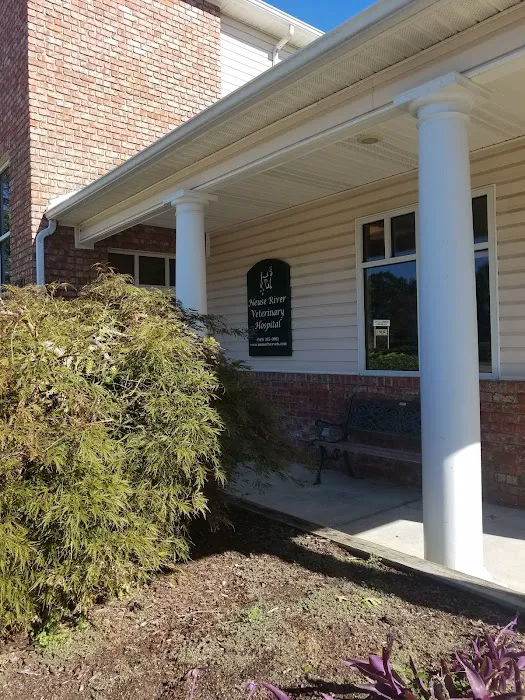 Neuse River Equine Hospital 5