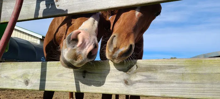 Neuse River Equine Hospital 2