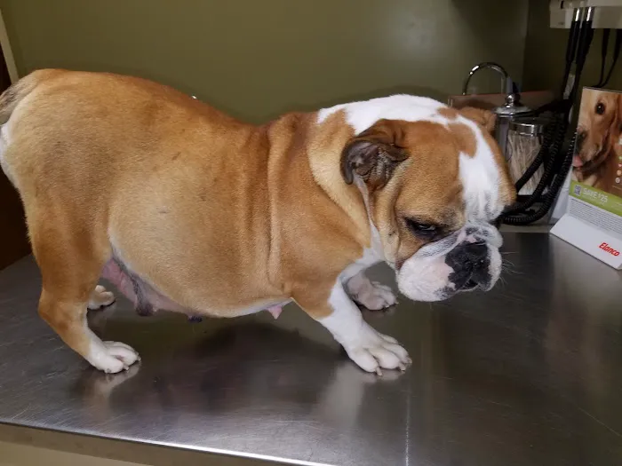 Goldsboro Veterinary Hospital 12