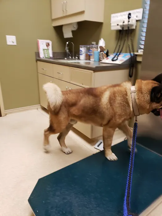 Wayne Veterinary Hospital 12