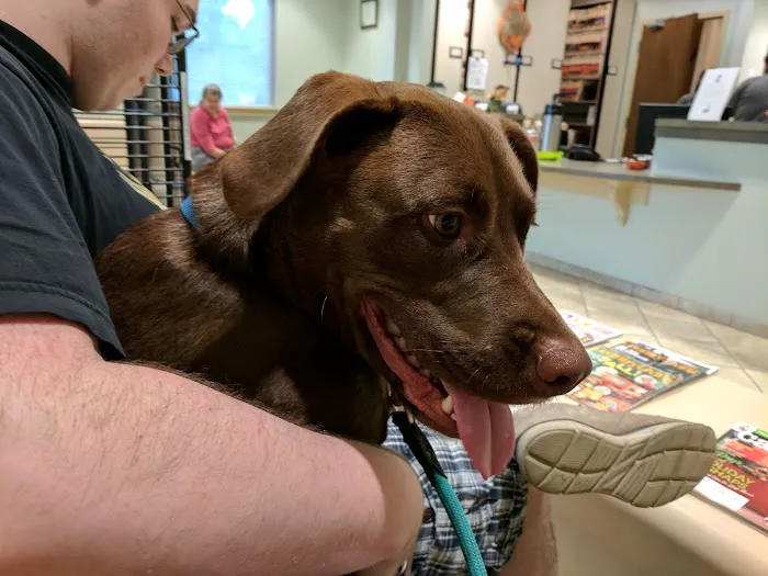 Wayne Veterinary Hospital 12