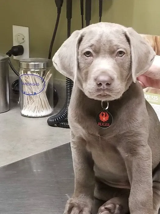 Wayne Veterinary Hospital 12