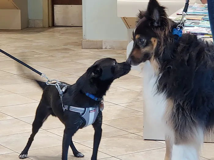 Wayne Veterinary Hospital 12
