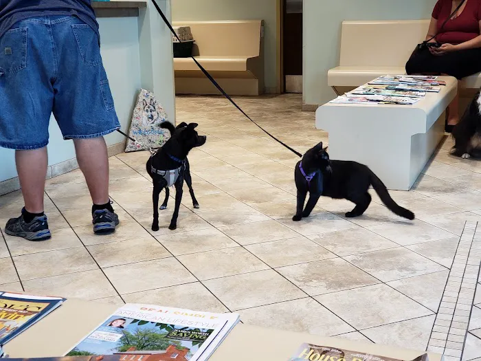Wayne Veterinary Hospital 12