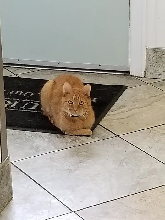 Landmark Animal Clinic 12