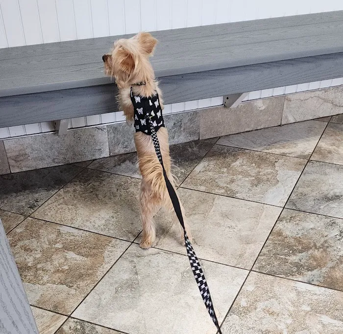 Landmark Animal Clinic 12