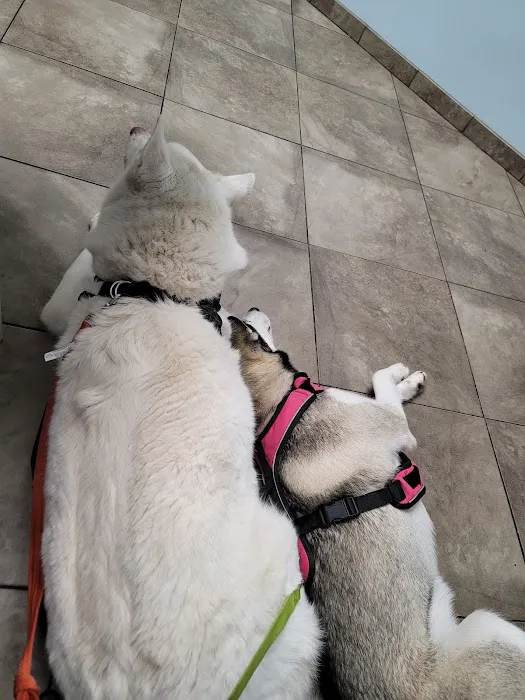 Berkeley Veterinary Clinic 9