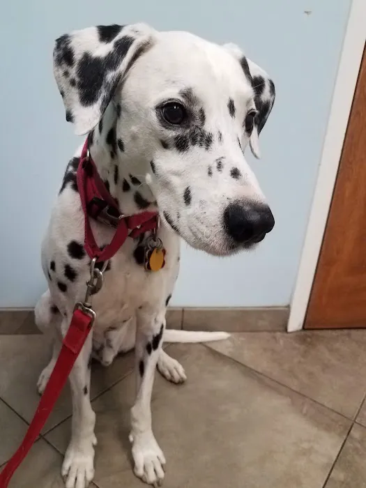 Berkeley Veterinary Clinic 10