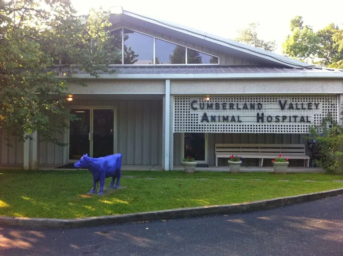 Cumberland Valley Veterinary Services 12