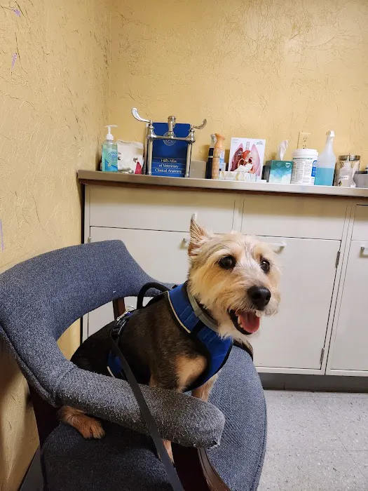 Cumberland Valley Veterinary Services 12