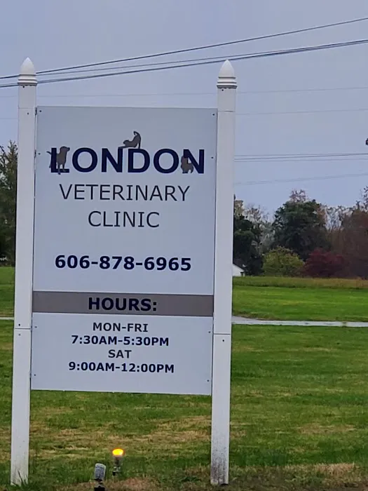 London Veterinary Clinic 12