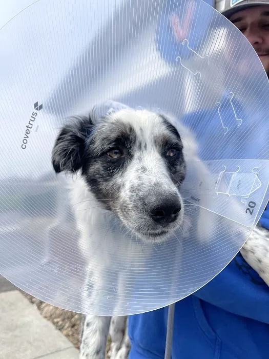 Annville Veterinary Clinic 12