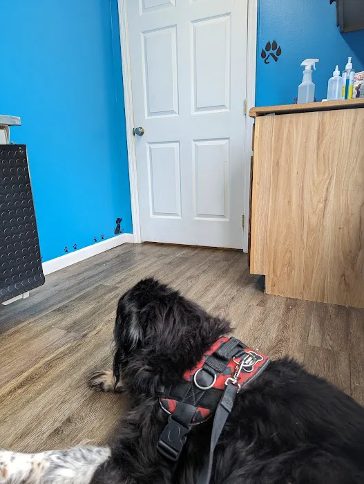 Annville Veterinary Clinic 12