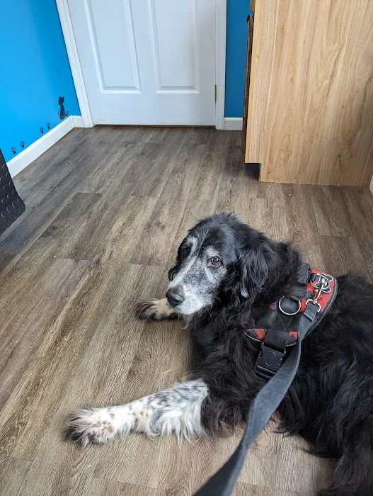 Annville Veterinary Clinic 12