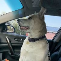 Veterinary Care Center, LLC ico