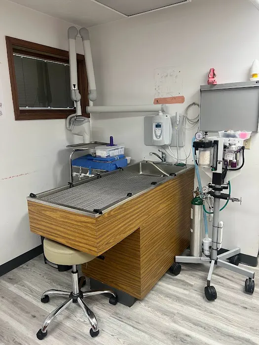 Corbin Animal Clinic 12