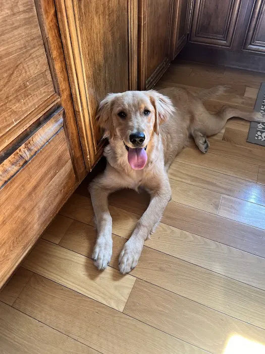 Corbin Animal Clinic 12