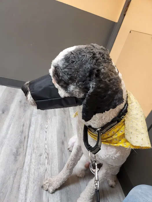 Corbin Animal Clinic 12